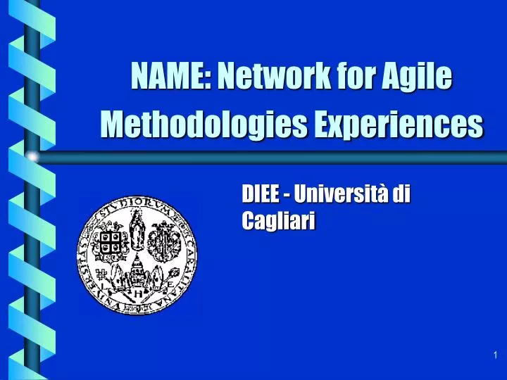 name network for agile methodologies experiences
