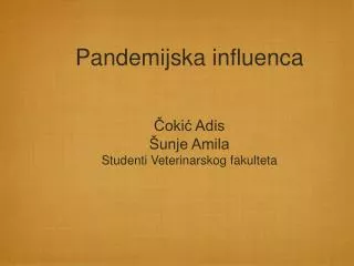 Pandemijska influenca Čokić Adis Šunje Amila Studenti Veterinarskog fakulteta