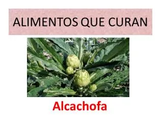 alimentos que curan