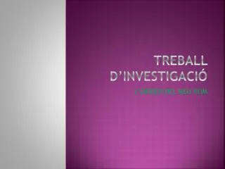 treball d investigaci