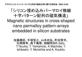 magnetic structures in cross shaped nano permalloy pattern arrays embedded in silicon substrates