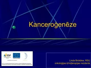 kancero en ze