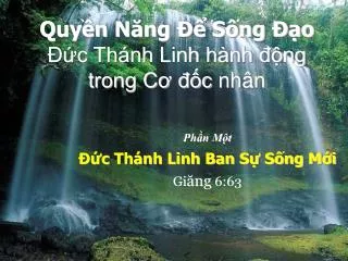 quy n n ng s ng o c th nh linh h nh ng trong c c nh n