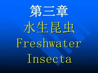freshwater insecta