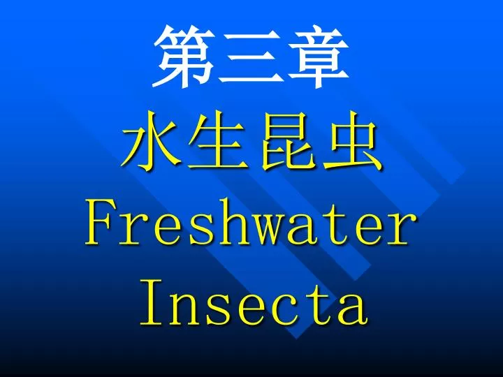 freshwater insecta