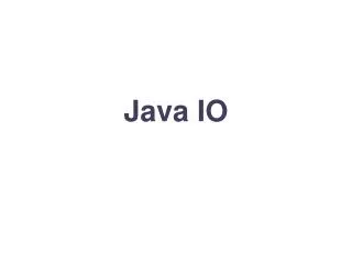 java io