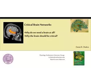 Critical Brain Networks Why do we need a brain at all? Why the brain should be critical?