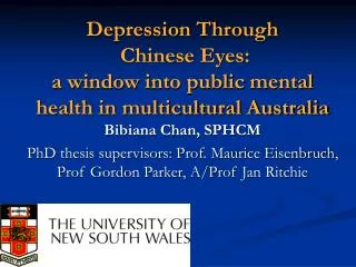 Depression Through Chinese Eyes: a window into public mental health in multicultural Australia