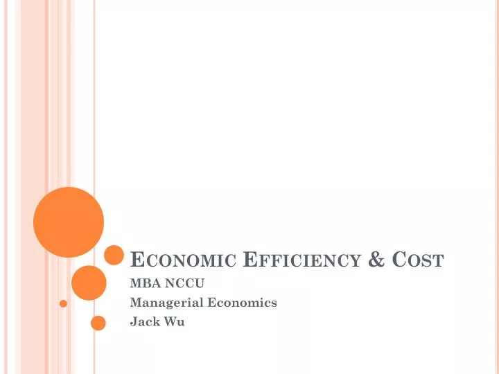 economic efficiency cost