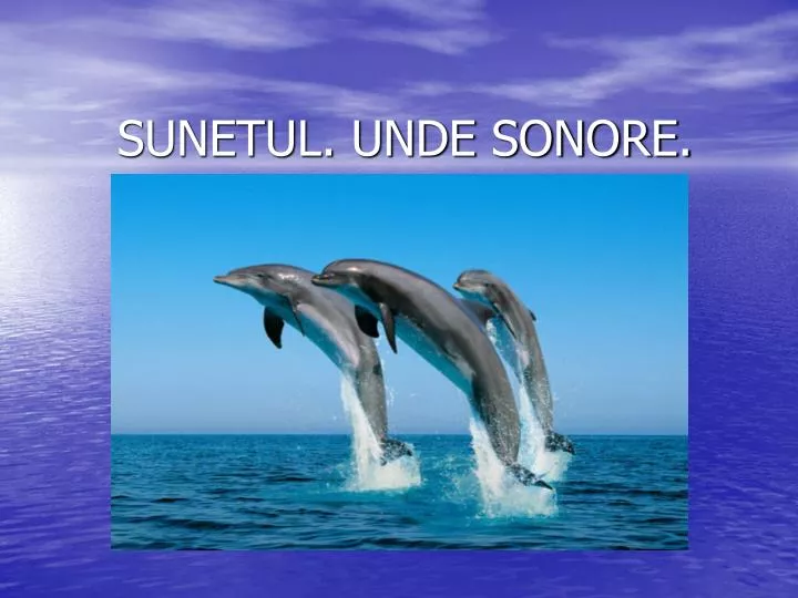 sunetul unde sonore