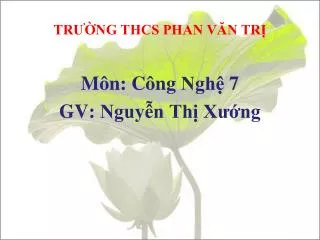 tr ng thcs phan v n tr