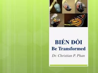 bi n i be transformed