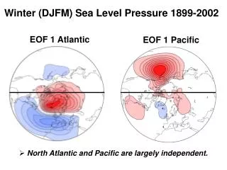 Winter (DJFM) Sea Level Pressure 1899-2002
