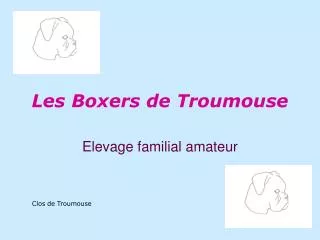 Les Boxers de Troumouse