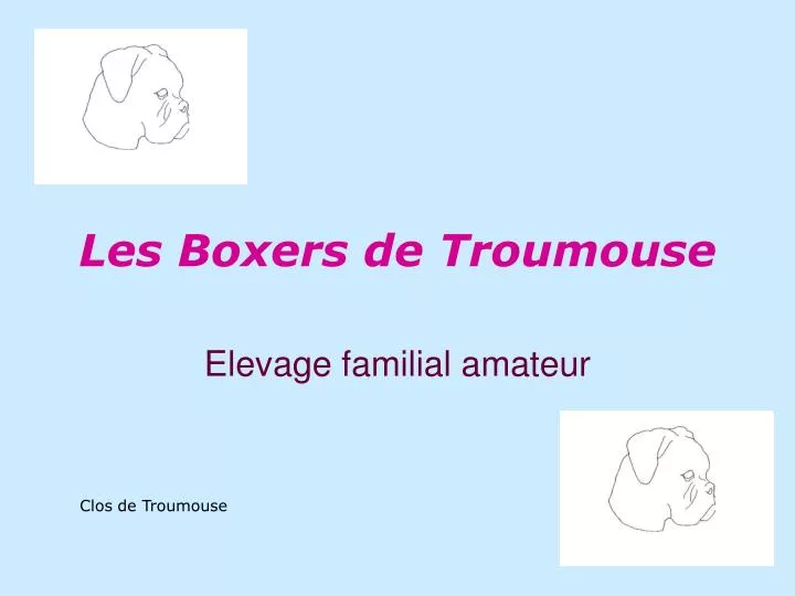 les boxers de troumouse