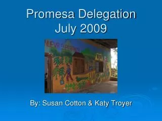 Promesa Delegation July 2009