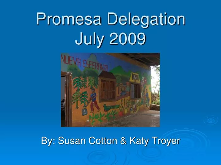 promesa delegation july 2009