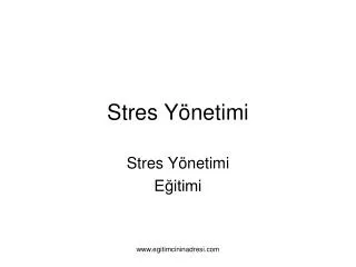 stres y netimi