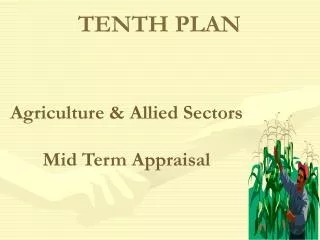 Agriculture &amp; Allied Sectors Mid Term Appraisal