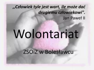 wolontariat