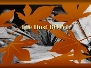 The Dust BOWL