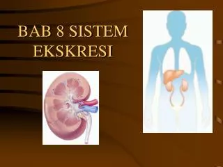 bab 8 sistem ekskresi