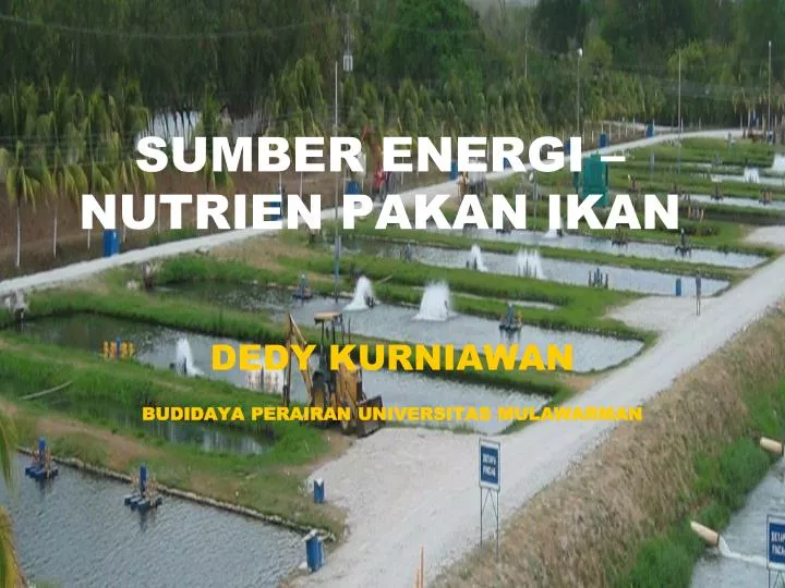 sumber energi nutrien pakan ikan