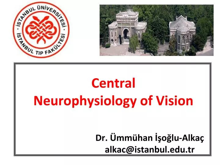 central neurophysiology of vision