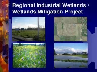 Regional Industrial Wetlands / Wetlands Mitigation Project