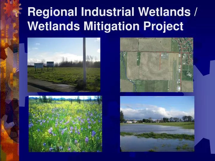 regional industrial wetlands wetlands mitigation project
