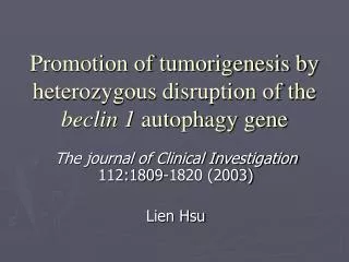 Promotion of tumorigenesis by heterozygous disruption of the beclin 1 autophagy gene