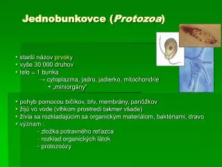 jednobunkovce protozoa