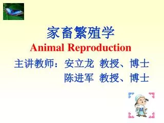 animal reproduction