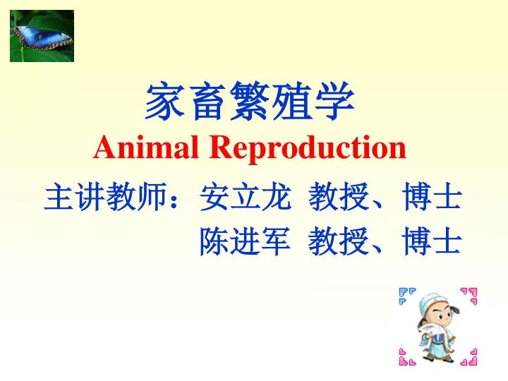 animal reproduction