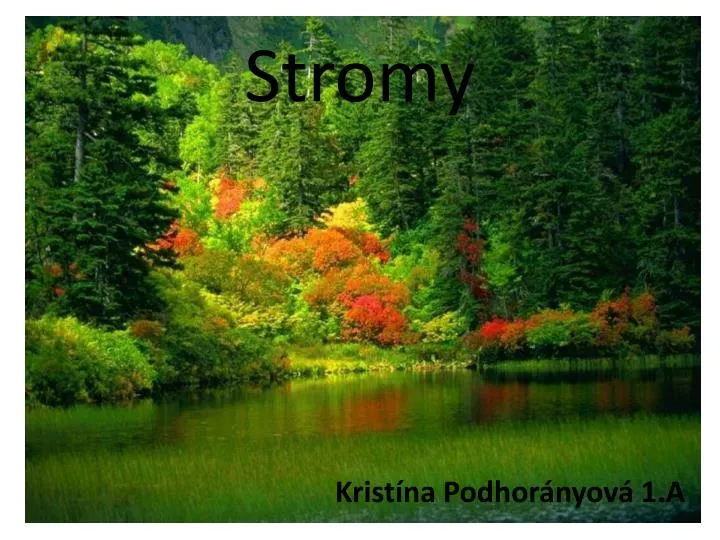 stromy