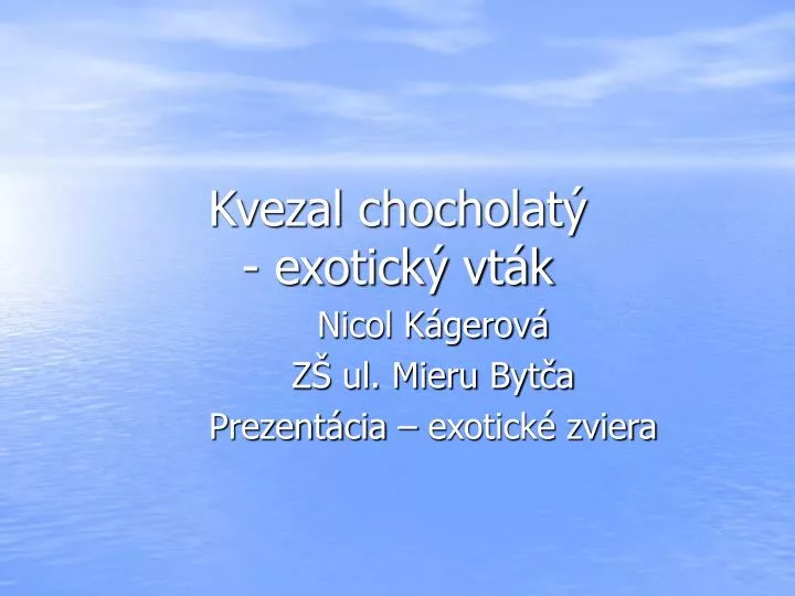 kvezal chocho lat exotick vt k