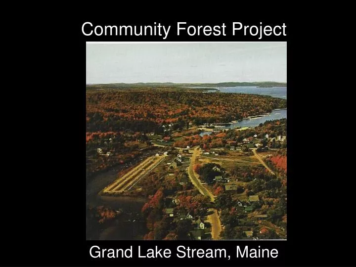 community forest project
