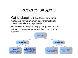 vedenje skupine