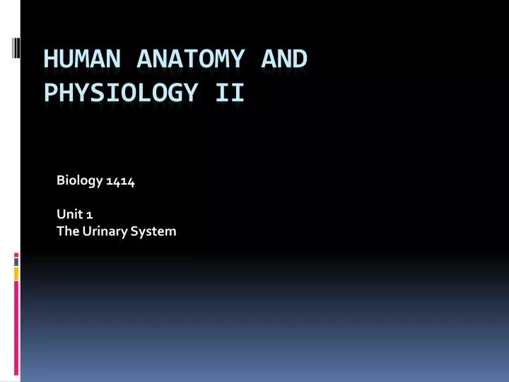 biology 1414 unit 1 the urinary system