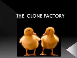 THE CLONE FACTORY