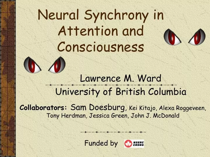 neural synchrony in attention and consciousness