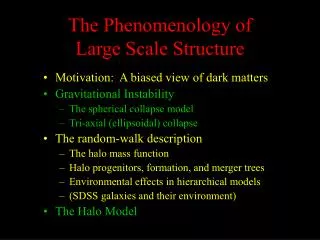 The Phenomenology of Large Scale Structure