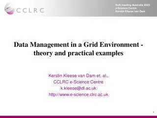 Data Management in a Grid Environment - theory and practical examples