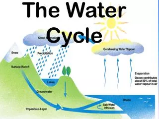the water cycle