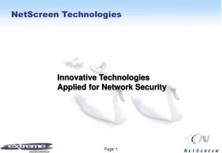 NetScreen Technologies