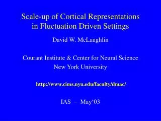 Scale-up of Cortical Representations in Fluctuation Driven Settings