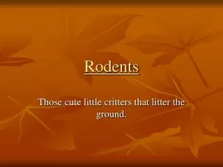 Rodents