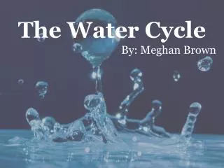 The Water Cycle By: Meghan Brown