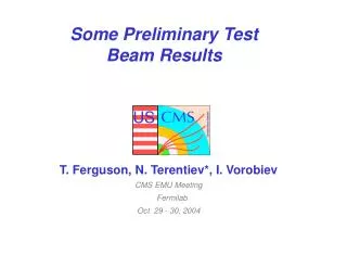 Some Preliminary Test Beam Results
