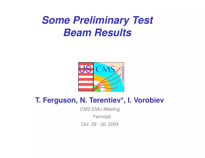 some preliminary test beam results